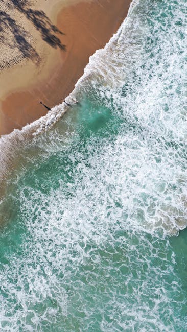 Aerial View of Seashore · Free Stock Photo