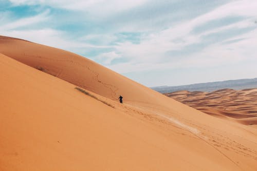 Free Photo of Person Walking on Desert Stock Photo