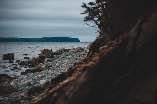 Бесплатное стоковое фото с берег, берег моря, берег океана
