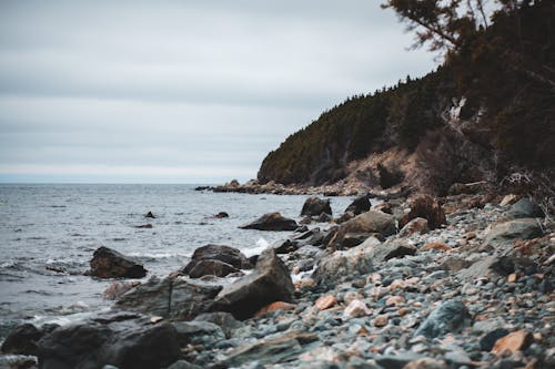 Free Photo of Rocky Shore Under Cloudy Sky Stock Photo