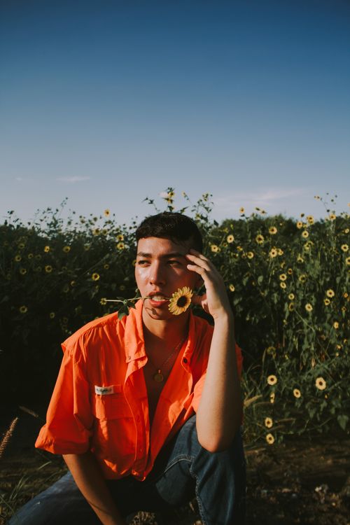 Free Man in orange shirt posing pensively in a sunflower field. Sunlit outdoor scene. Stock Photo