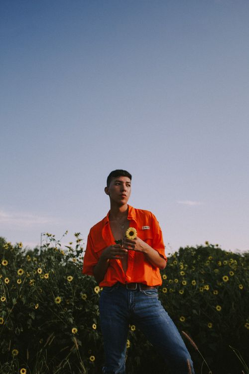 Free Low angle of confident male in bright shirt standing with yellow flower near green bushes against clear sky in countryside Stock Photo