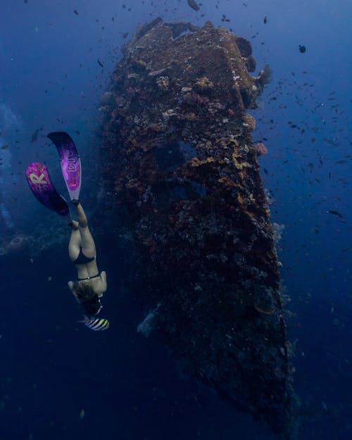 Free Woman Swimming Underwater Near a Shipwreck Stock Photo