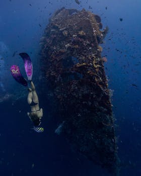 一名女子在巴厘岛充满活力的水下风景中，于沉船附近潜水