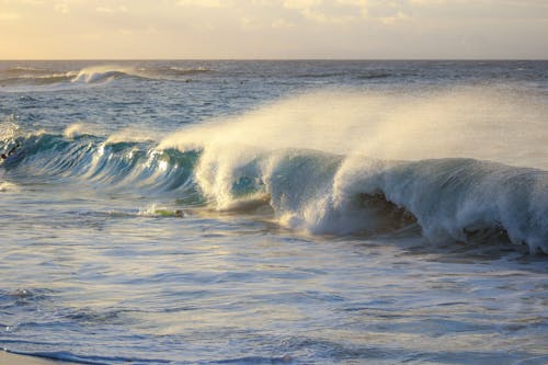 Gratis lagerfoto af bølger, gylden time, hav