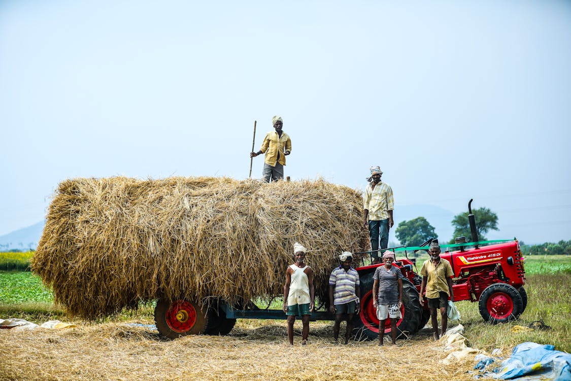 People Standing Near a Tractor With Hay