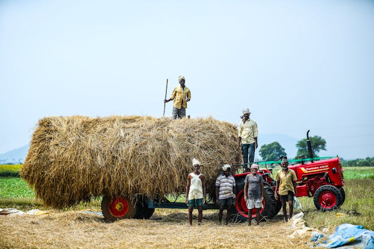 People Standing Near A Tractor With Hay