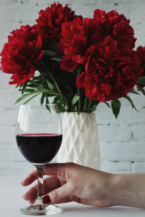 Free A Person Holding a Glass of Wine in Front of Red Flowers Stock Photo