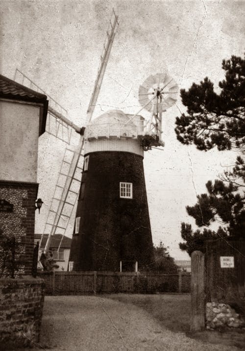 Grayscale Photo of Windmill Near Trees