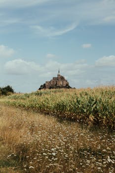 Discover the iconic Le Mont-Saint-Michel rising amid lush summer fields in Normandy, France.