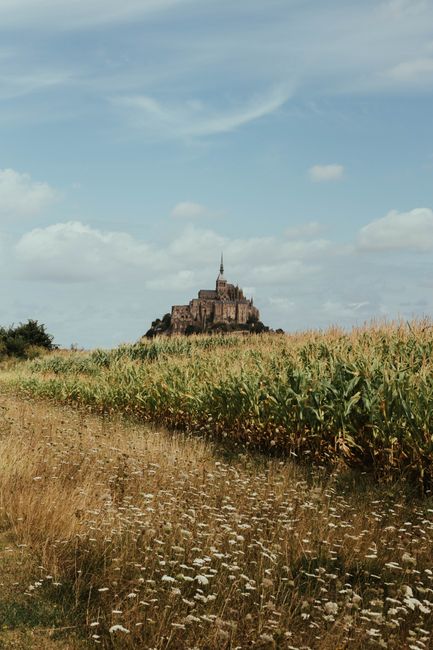 Discover the iconic Le Mont-Saint-Michel rising amid lush summer fields in Normandy, France.