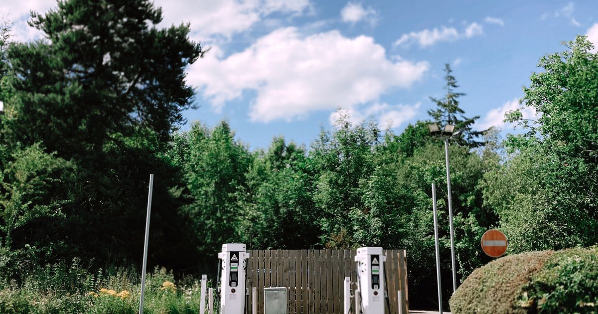 Electric vehicle charging station beside a tree-lined road