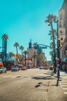 Vibrant cityscape of Los Angeles featuring palm trees, traffic, and clear blue skies.
