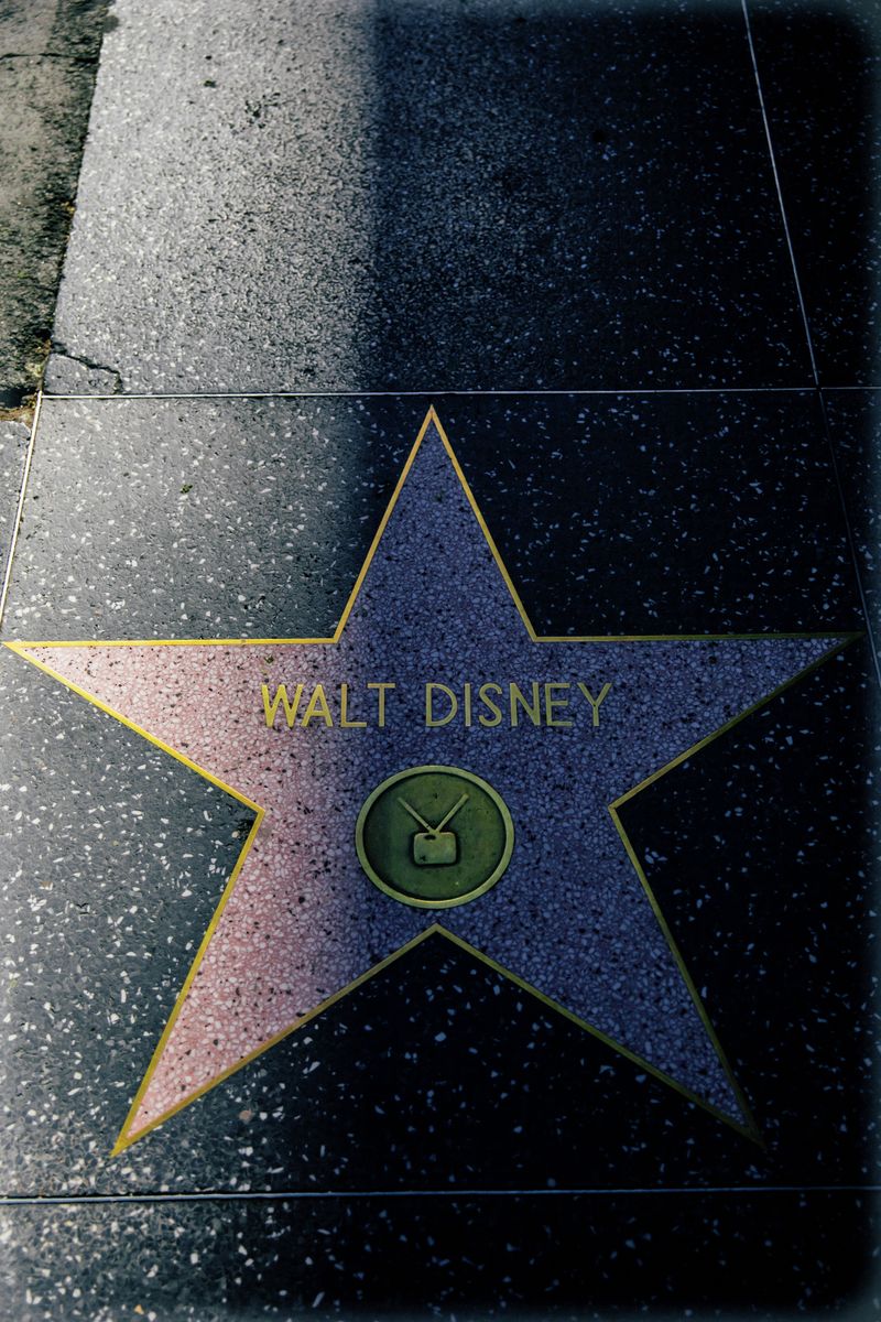 Hollywood Walk of Fame sightseeing tour - Celebrity star sidewalk experience in Los Angeles