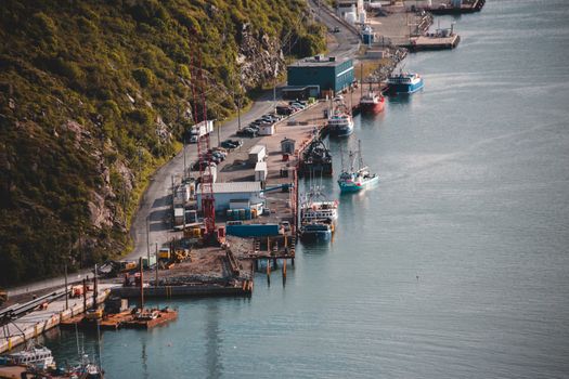 From above of motorized launch boats on green bushy rocky coast near water