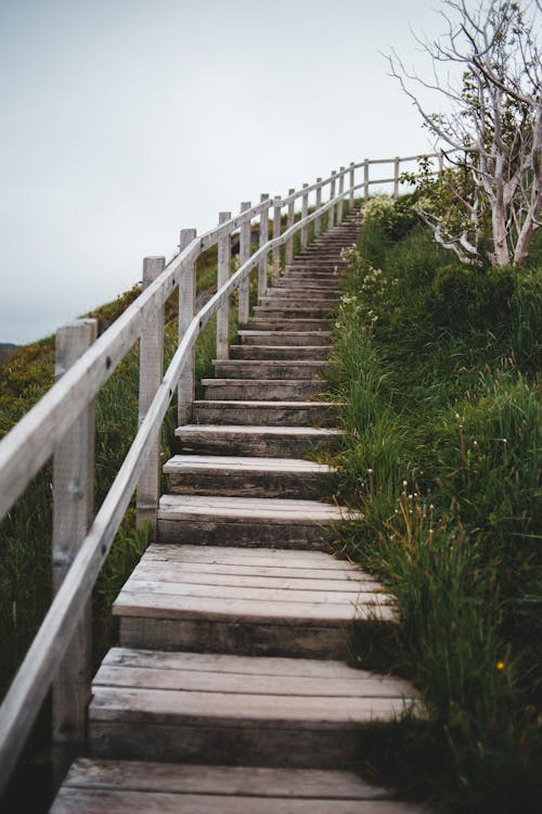 Brown Wooden Staircase