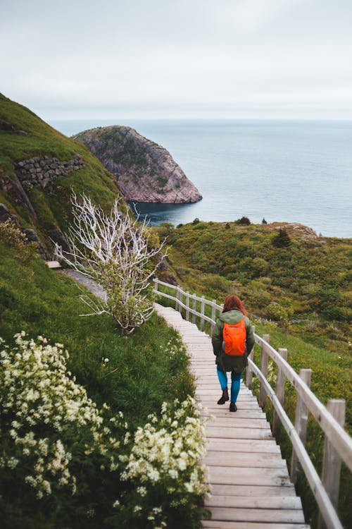 Photo of Person Walking on Wooden Pathway