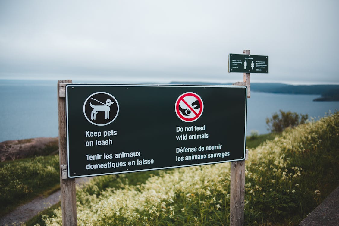 Photo of PWD Sign · Free Stock Photo