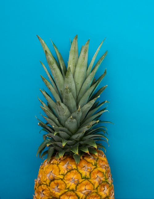 Ingyenes stockfotó ananász, csendélet, gyümölcs témában