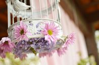 Shallow Focus Photography of Birdcage