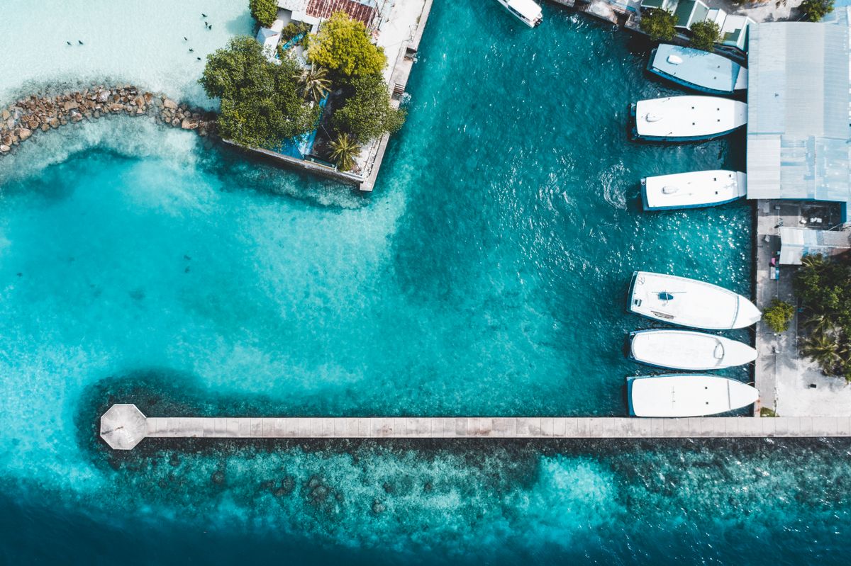 Aerial view of six small dive boats moored along the San Luis pier, water turquoise over the shallows and darkening past the rocks, palms crowding the shoreline behind them.