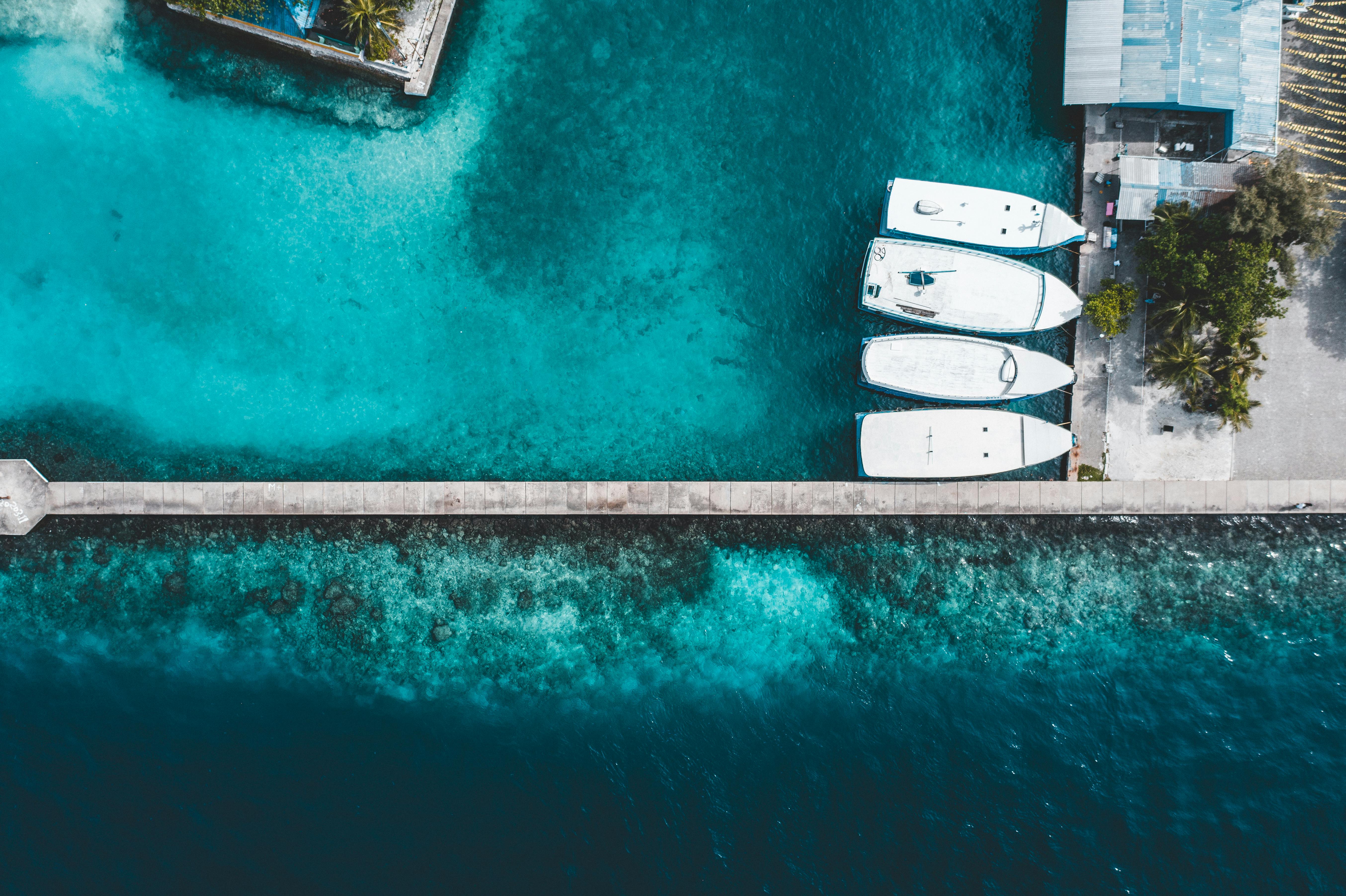 Caribbean corporate Governance Survey 2026 — Photo by Maahid Photos on Pexels