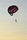 parachute
