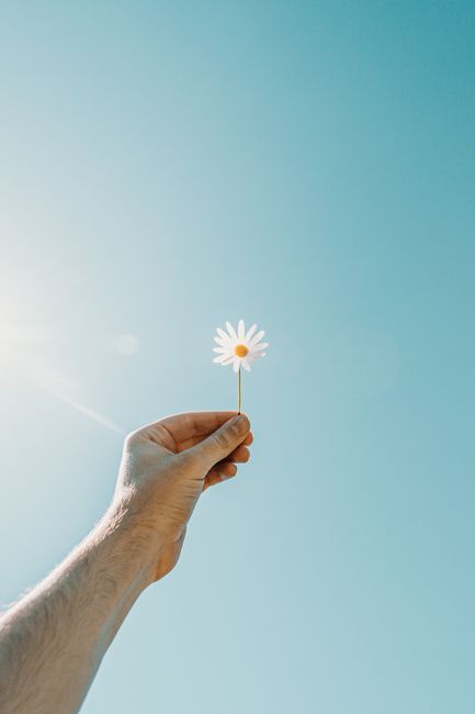Minimalist photo of a hand holding a daisy against a bright blue sky, capturing simplicity and beauty.
