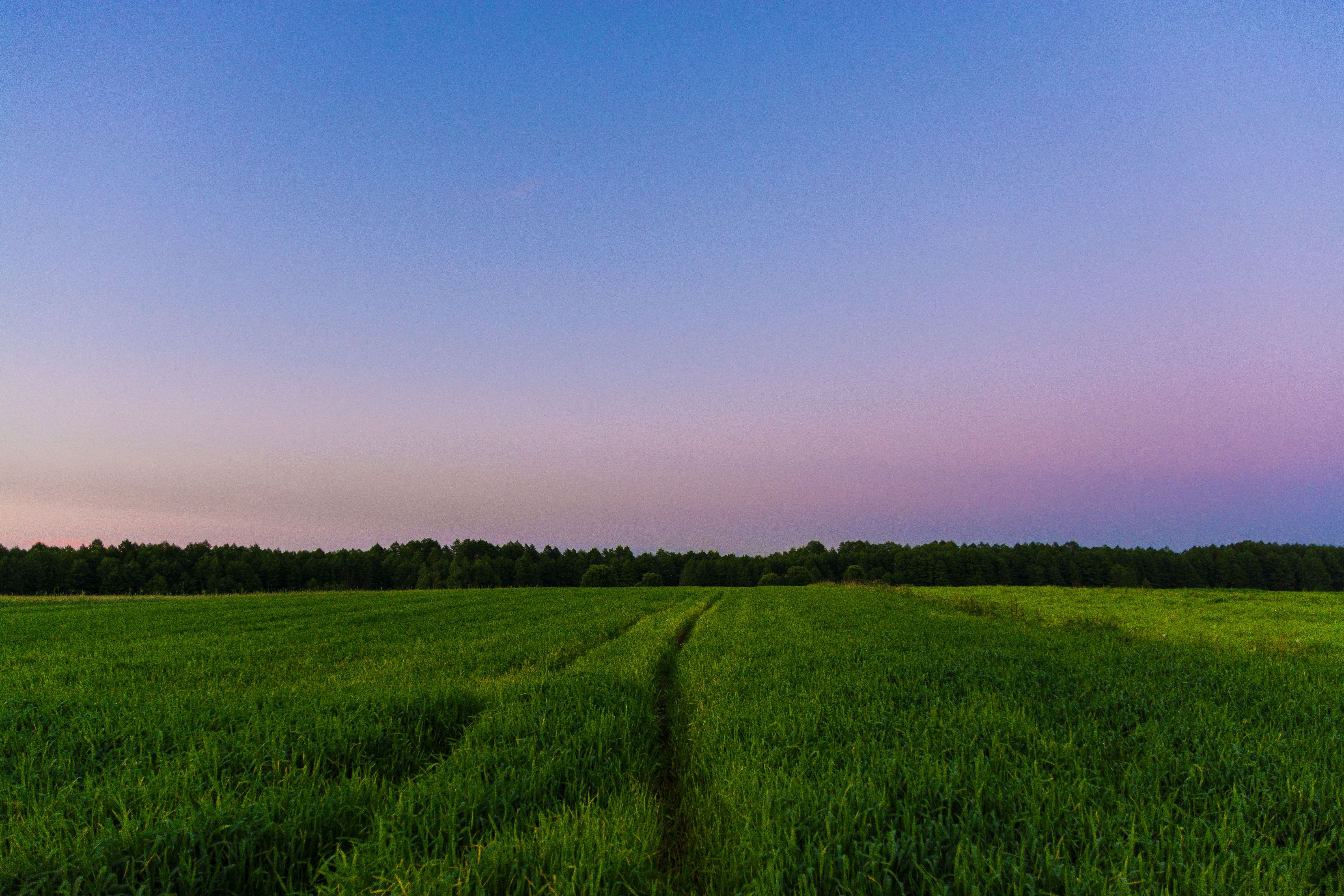 Green Grass Field Under Blue Sky · Free Stock Photo