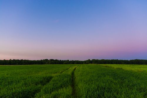 Free A serene landscape of lush green fields and a colorful twilight sky, ideal for nature and rural themes. Stock Photo