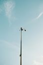 From below of contemporary security camera placing on top of high pillar in city under clear blue sky