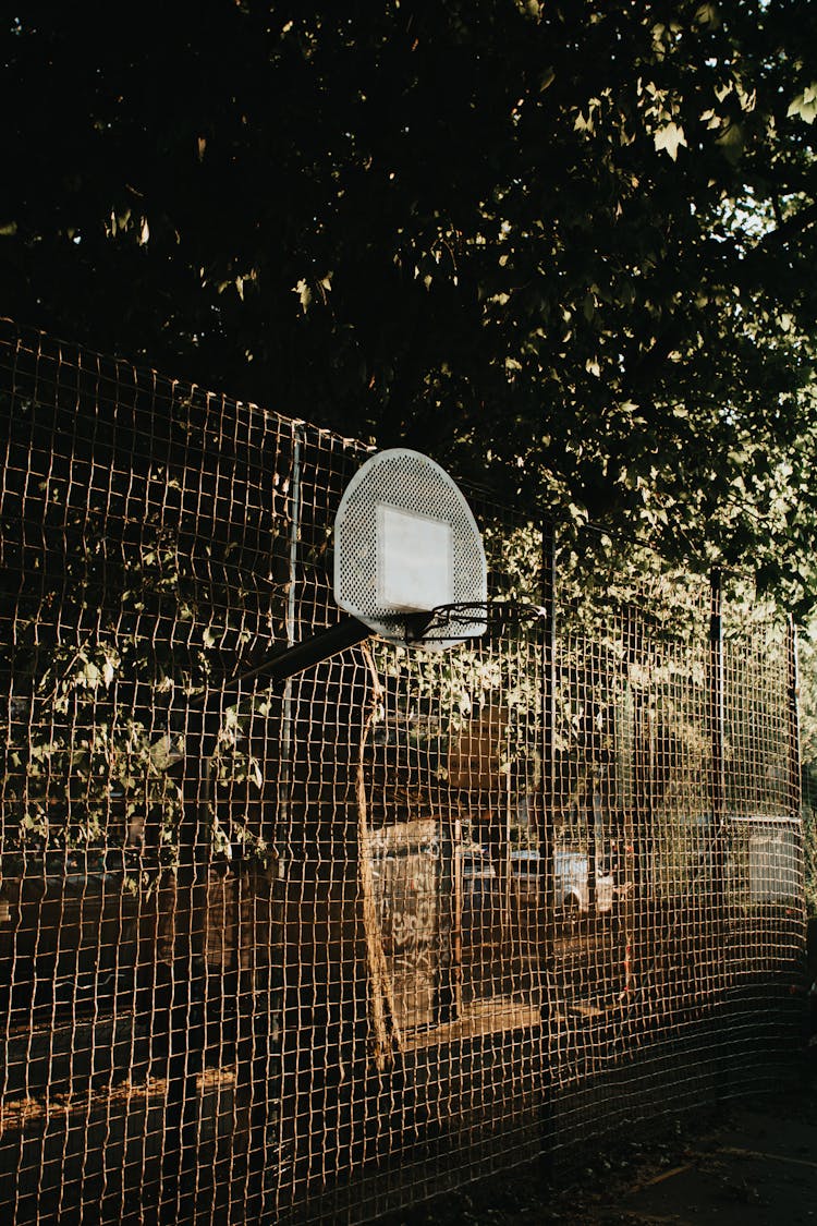 Metal Fence With Basketball Hoop Under Tree