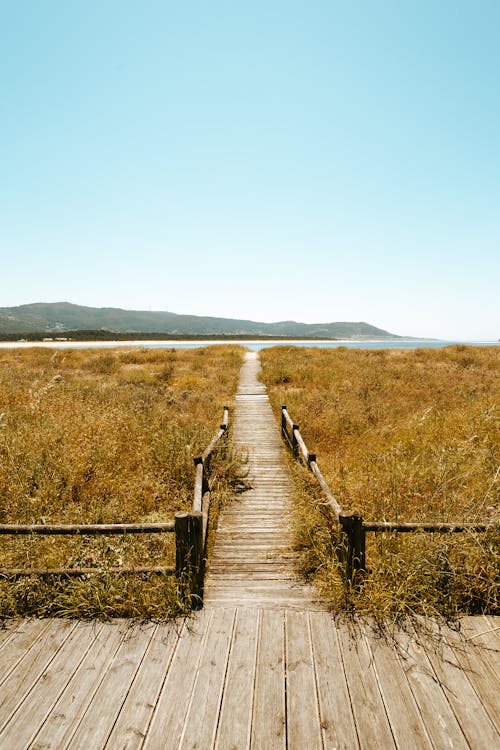 Brown Wooden Pathway on Brown Grass Field