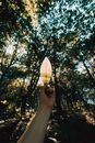 Person holding yellow leaf in hand