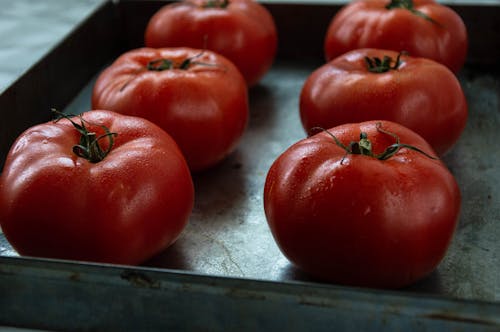 Free Close-Up Shot of Fresh Tomatoes on a Tray Stock Photo