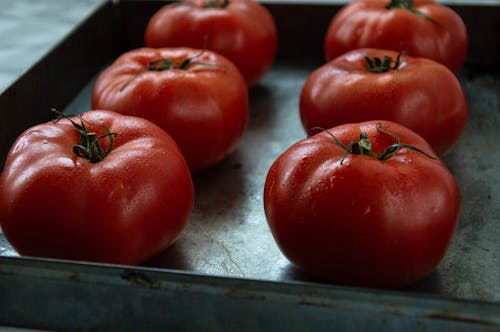 Close-Up Shot of Fresh Tomatoes on a Tray