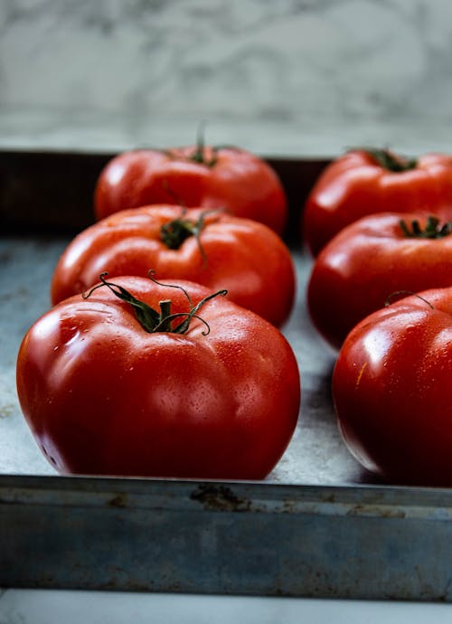 Free Close-Up Shot of Fresh Tomatoes on a Tray Stock Photo
