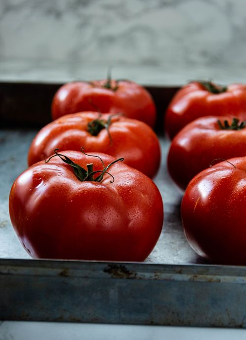 Free Close-up of fresh organic tomatoes on a metal tray, ideal for culinary use. Stock Photo