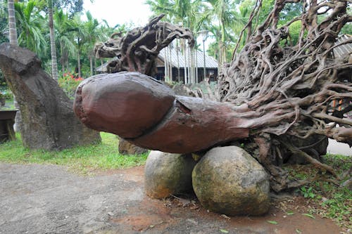 Foto profissional grátis de entalhes, esculturas de raízes de árvores, ilha de hainan