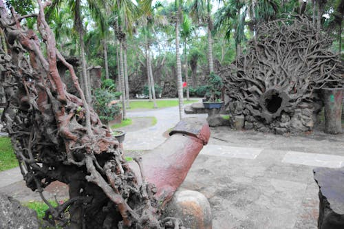 Foto profissional grátis de entalhes, esculturas de raízes de árvores, ilha de hainan