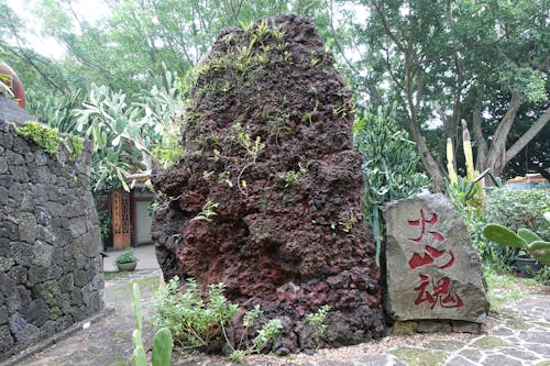 Foto profissional grátis de basalto, ilha de hainan, natureza