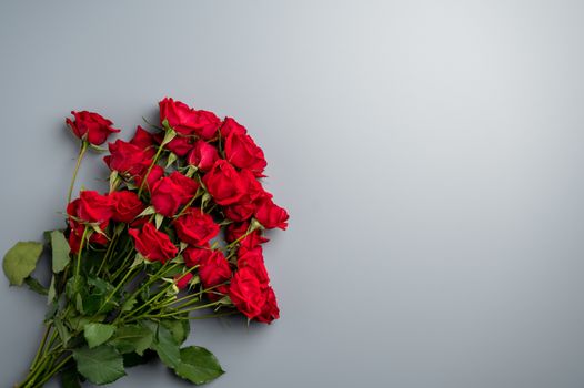 俯视灰色背景上，长而细的绿色茎上，玫瑰那充满活力的红色花朵显得格外脆弱