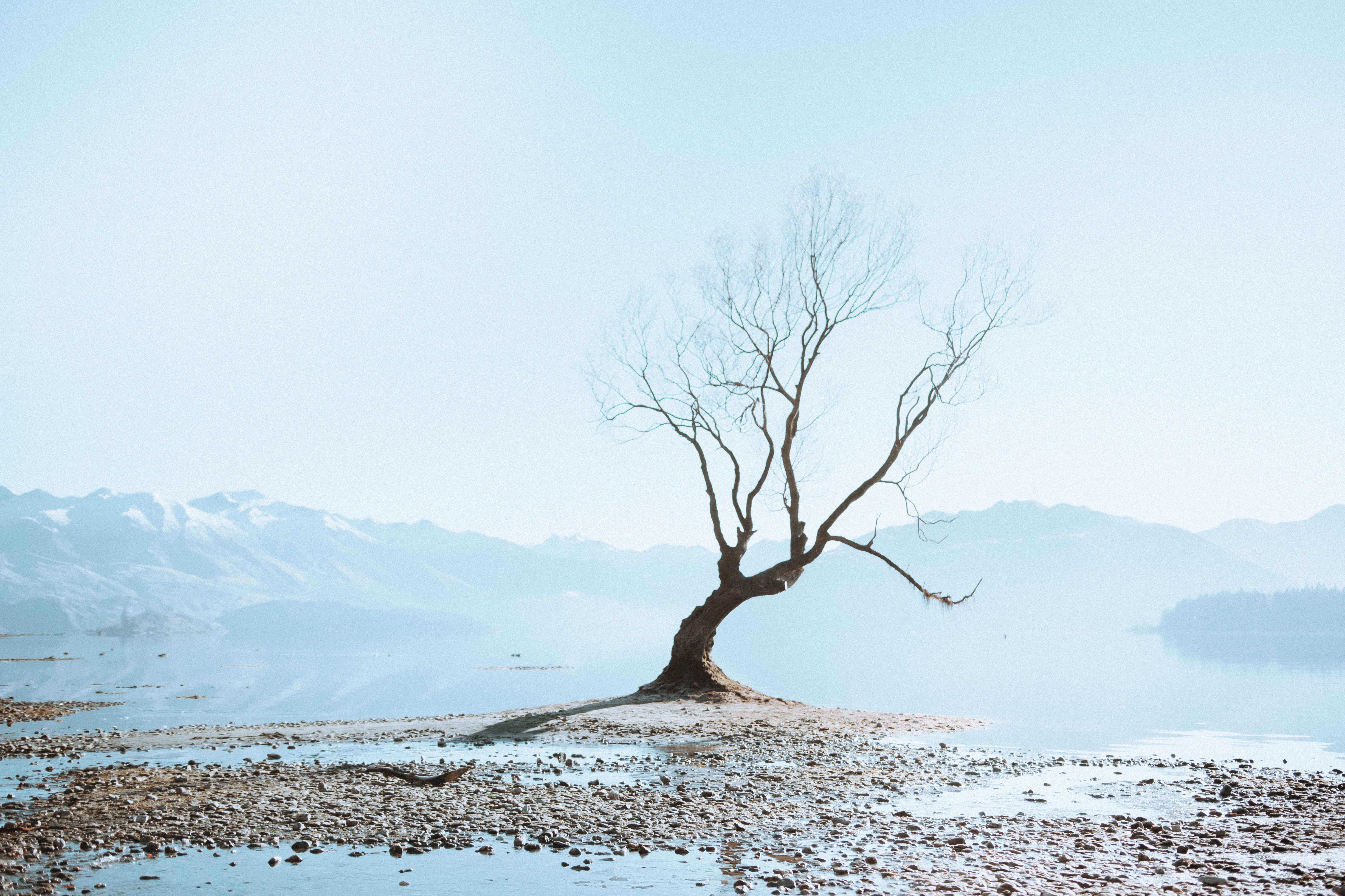 Lake Wanaka Quiet Side