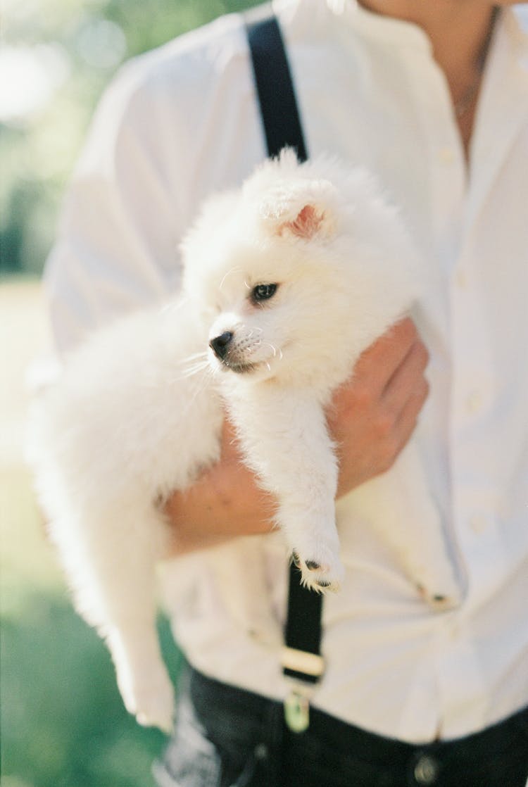 Woman Holding Fluffy Puppy