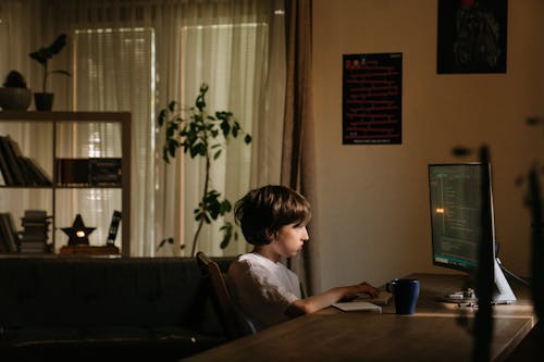 Gratis lagerfoto af barn, computer, cybersikkerhed