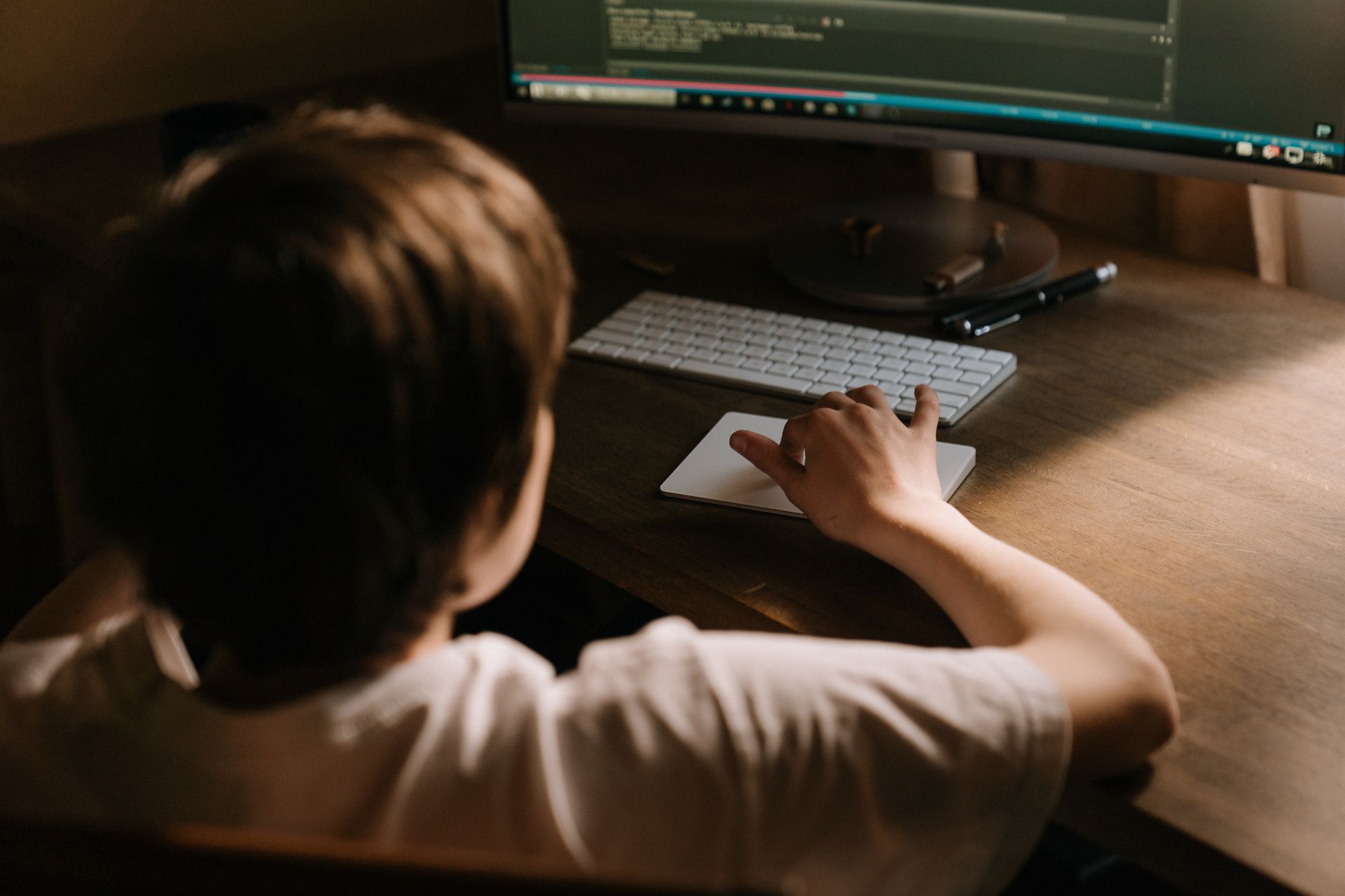 Person Using Computer on Table