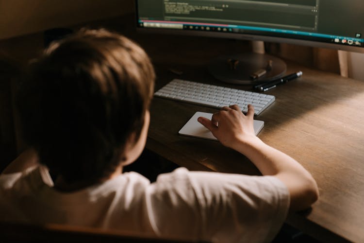 Person Using Computer On Table