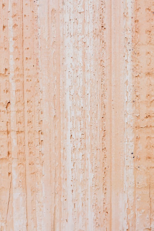 Wooden Wall in Close Up Shot