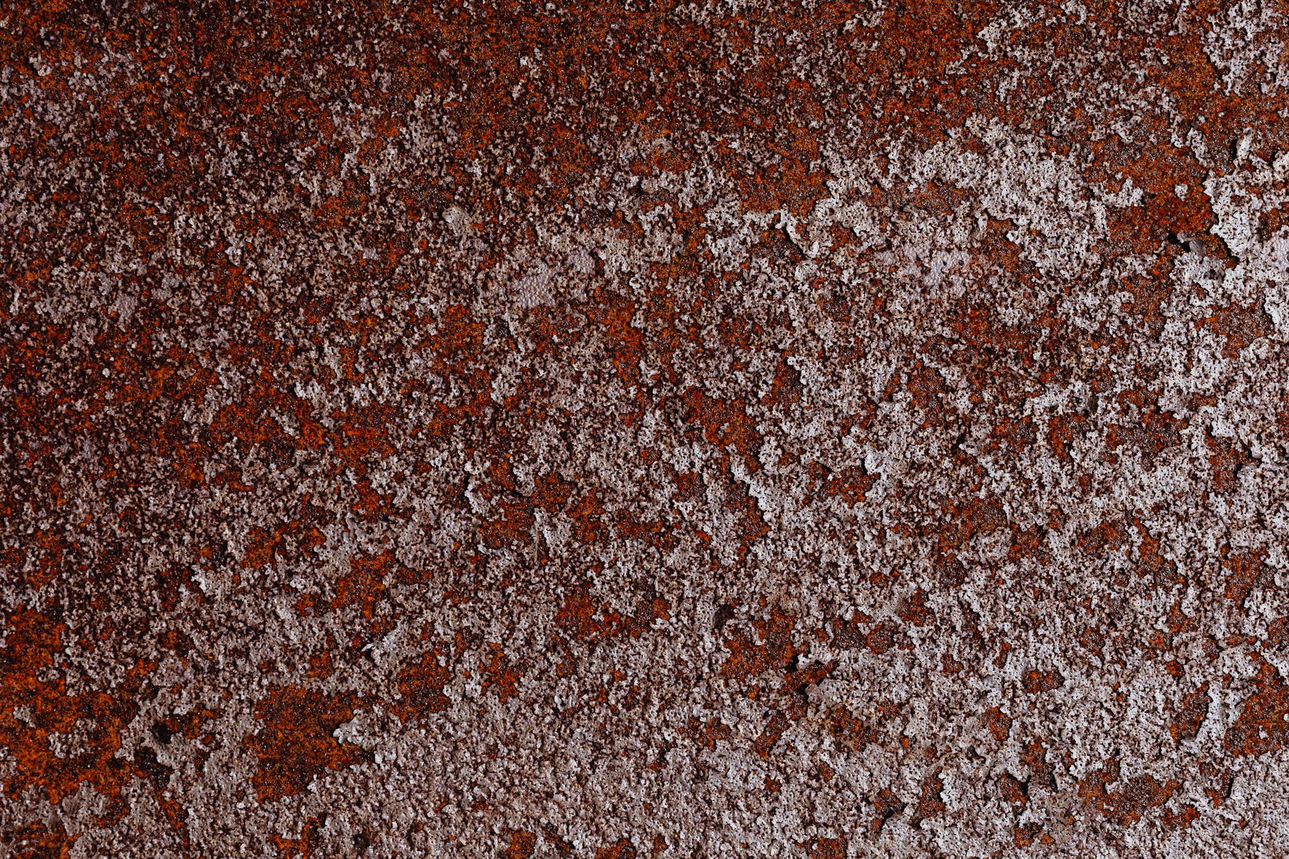 tokio rust