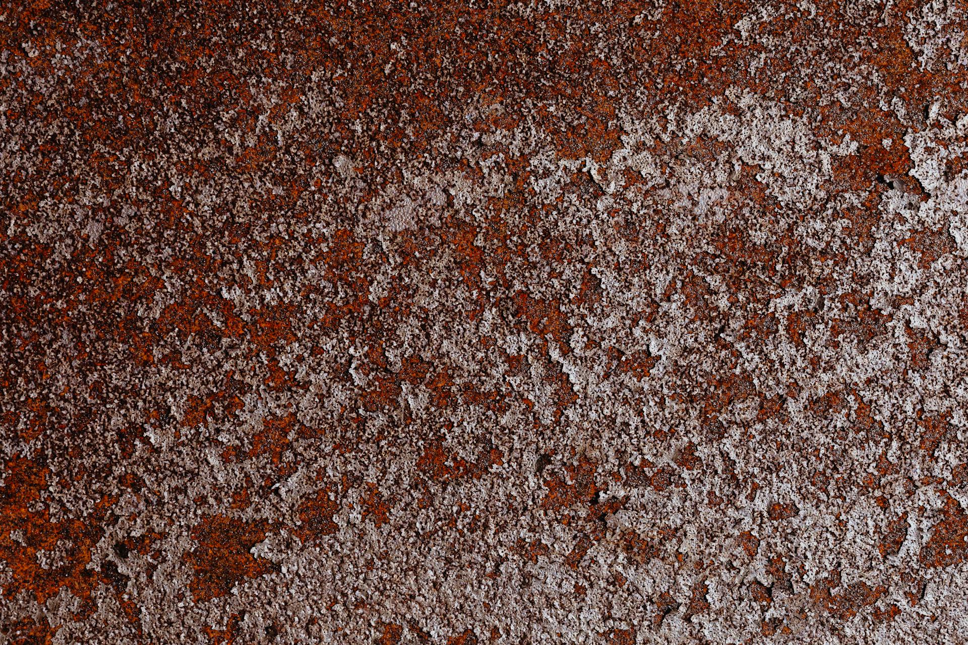 Close Up Photo of Rust Background